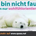 Max Schneeberger - @max.schneeberger.3 - Instagram