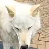maxschreck - @maxschreck24 - TikTok