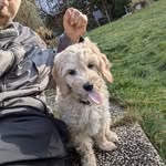 Max Schreiner - @maxluca.exe - Instagram