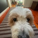 Max Schroder - @max._schroder - Instagram