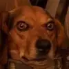 maxschuler2008 - @actionspeakslouder - TikTok