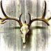 Max Schultz - Facebook
