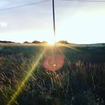 Max Schulze - @mschulze - Instagram
