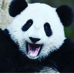 max schurmann - @max_schurmann123 - Instagram
