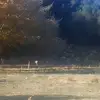 maxschutz1020.24.19 - @maxschutz2010.19 - TikTok