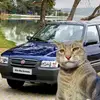 MAX😎 - @max.sebastian1 - TikTok