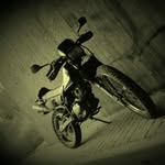 Max Seitz - @_free.life_19 - Instagram