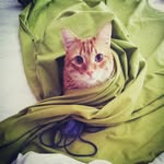 PokeMax7078 - @max_semenenko - Instagram