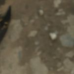 Max_senator - @max_senator - Instagram