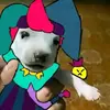 ..., x - @max_senna - TikTok
