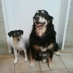 Max Senna - @friedastahl41 - Instagram