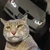 maxsenna - @maxsenna74 - TikTok