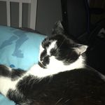 Max Sewell - @max.sewell - Instagram