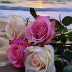 Max Shah - Facebook