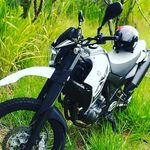 Max Zyyz - @max_shavershian - Instagram