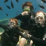 Max Shearer - @max.s.shearer - Instagram