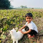 শেখ আলামিন - @maxsheikh24 - Instagram