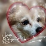甲藤哲弘 - @max_natsu_shelley - Instagram