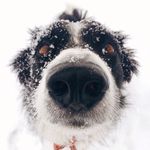 Max Shelley - @max_shelley - Instagram