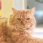 Max Shimer - @maxxcatt - Instagram