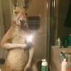Max Shipley - @maxshipley - TikTok
