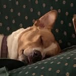 Max Shoemaker - @max.shoemaker - Instagram