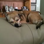 Max Shook - @shookmax - Instagram
