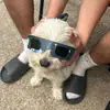 max - @maxshortss - TikTok