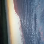 Max Shulman - Facebook