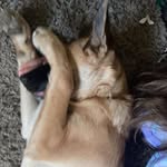 @max_shultz1 - Instagram