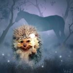 Max Shultz - @mastermaxie - Instagram
