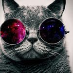 Max Sidorov - @jaguarfanton48 - Instagram