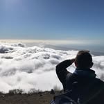 Massimo Sigali - @maxsigali - Instagram