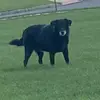 Max - @maxsilberman0 - TikTok