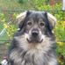 Max Silber - Facebook