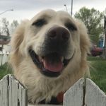 Max Simakov - @sir_max126 - Instagram