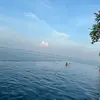 Max Simpson - @max.simpson954 - TikTok