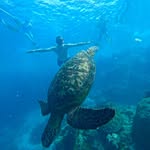 Max Sinclair - @max_dhm - Instagram