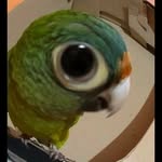 Máx Sinclair - @max__sinclair__ - Instagram