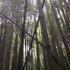 Max Sinclair - @flyjump - TikTok