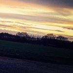 Max Sindermann - @maxsxndermxnn - Instagram
