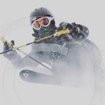 Max Sirrine - @sirrinemax - Instagram