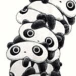 Max Sklar - @floppy_panda - Instagram