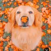 🌼max🌼 - @maxs.life.rp - TikTok