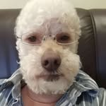 Max Snodgrass - @maxisnodgrass - Instagram