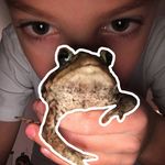Max Sobel - @adedcarrot - Instagram