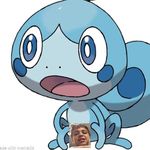 Max.Sobble - @maxsobelmon - Instagram