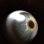 Max Sobol - @maxsobol - Instagram