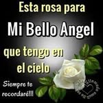 Max S. Nava - @maxsolache67 - Instagram