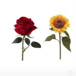 Max Solis - Facebook